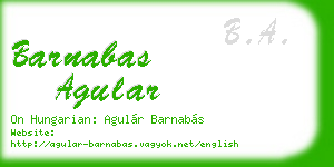 barnabas agular business card